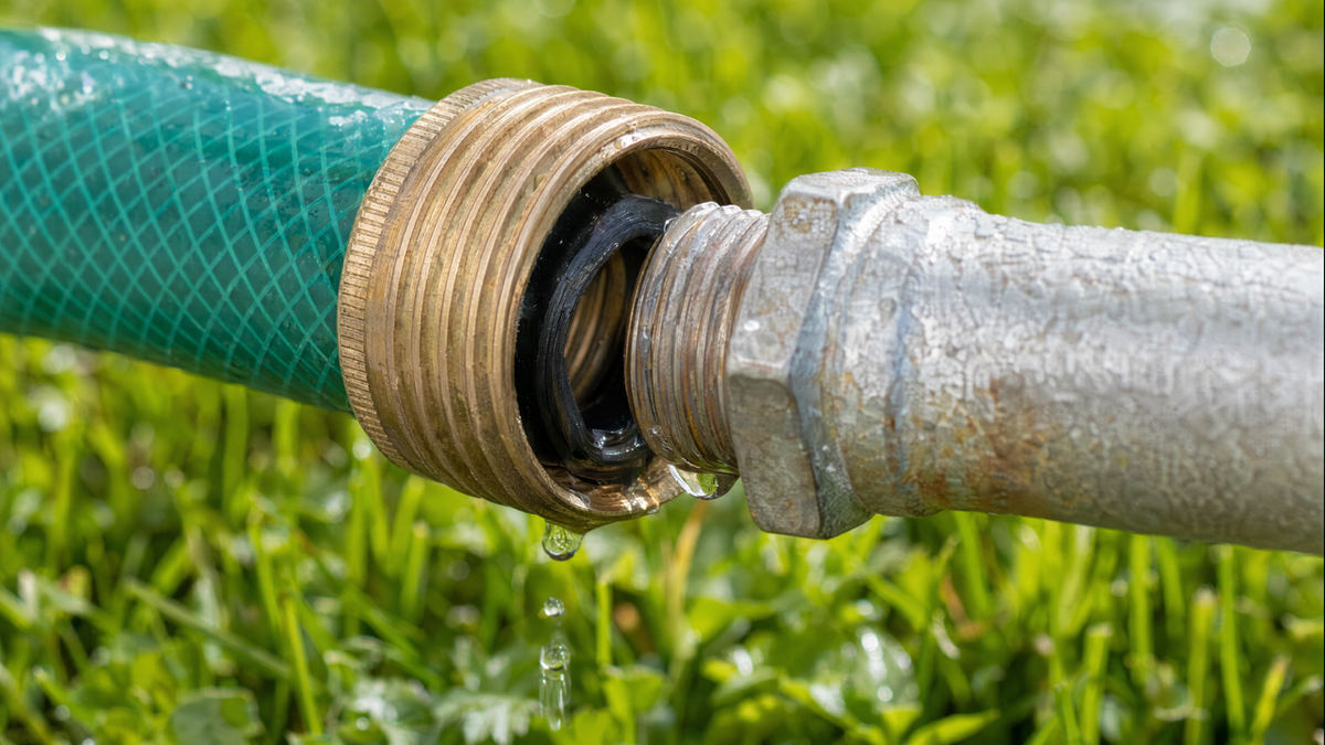Garden hose threaded connector leaking with water droplets and a worn rubber washer visible