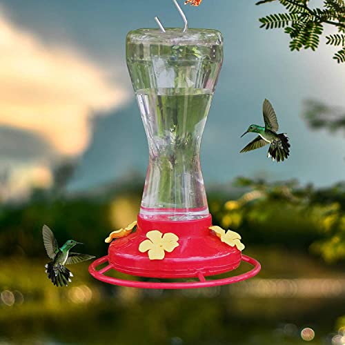 Twinkle Star Outdoor Hummingbird Feeder with 4 Feeding Ports, 20 Ounce - Twinkle Star