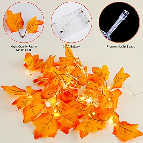 Twinkle Star Thanksgiving Decoration Fall Lights, 4 Pack Maple Leaves String Lights, Each Strings with 20 LED 11 FT Battery Operated Light, Garland Decor for Indoor Halloween Autumn Harvest F - Twinkle Star