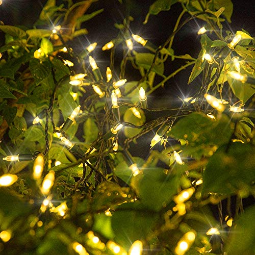 Twinkle Star 300 LED Christmas Mini String Lights, 99 ft Fairy Lights with Safe Adapter for Indoor Outdoor Home Garden Xmas Tree Party Decoration, Warm White - Twinkle Star