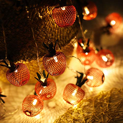 Twinkle Star 10 LED Apple String Lights Metal Mesh Battery Operated Fairy String Lights for Bedroom Wedding Indoor Outdoor Home Party - Twinkle Star