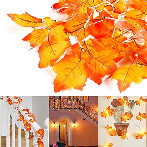 Twinkle Star Thanksgiving Decoration Fall Lights, 4 Pack Maple Leaves String Lights, Each Strings with 20 LED 11 FT Battery Operated Light, Garland Decor for Indoor Halloween Autumn Harvest F - Twinkle Star