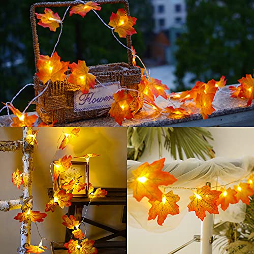 Twinkle Star Thanksgiving Decoration Fall Lights, 4 Pack Maple Leaves String Lights, Each Strings with 20 LED 11 FT Battery Operated Light, Garland Decor for Indoor Halloween Autumn Harvest F - Twinkle Star