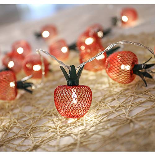 Twinkle Star 10 LED Apple String Lights Metal Mesh Battery Operated Fairy String Lights for Bedroom Wedding Indoor Outdoor Home Party - Twinkle Star