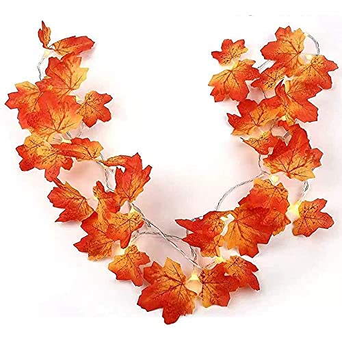 Twinkle Star Thanksgiving Decoration Fall Lights, 4 Pack Maple Leaves String Lights, Each Strings with 20 LED 11 FT Battery Operated Light, Garland Decor for Indoor Halloween Autumn Harvest F - Twinkle Star