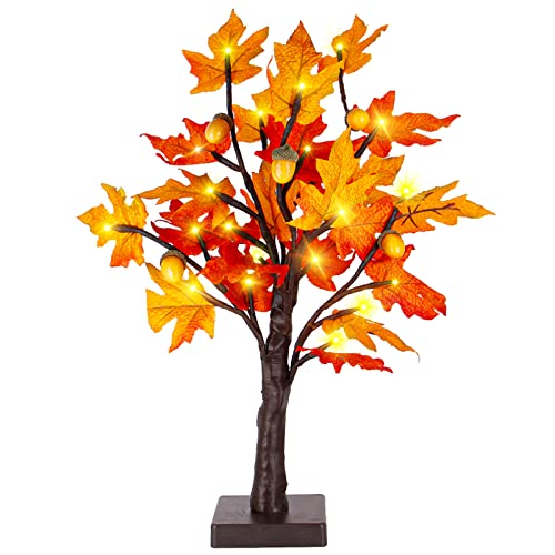 Twinkle Star 24 LED Tabletop Lighted Maple Tree Battery Operated, Thanksgiving Table Decoration Lights, Maple Leaves and Acorn Autumn Tree for Indoor Home Bedroom Fall Decorations - Twinkle Star