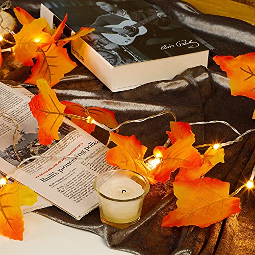 Twinkle Star Thanksgiving Decoration Fall Lights, 4 Pack Maple Leaves String Lights, Each Strings with 20 LED 11 FT Battery Operated Light, Garland Decor for Indoor Halloween Autumn Harvest F - Twinkle Star