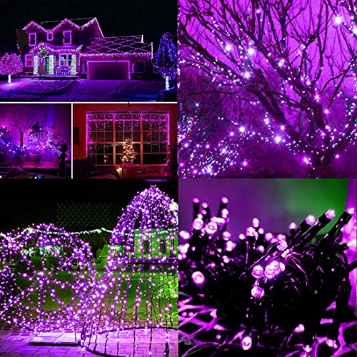 Twinkle Star LED String Lights, Plug in String Lights 8 Modes Waterproof for Indoor Outdoor Christmas Tree Wedding Party Bedroom (Purple, 99 ft) - Twinkle Star