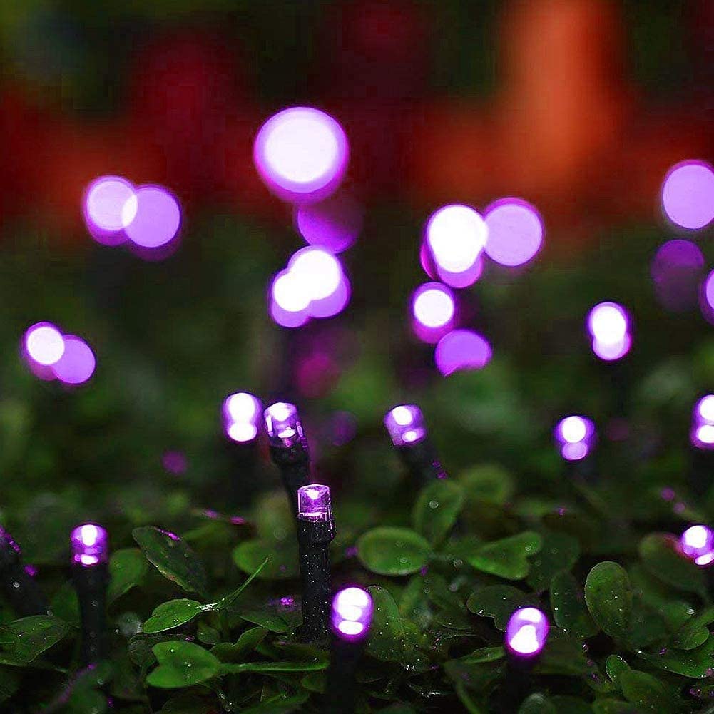 Twinkle Star 200 LED 66FT Fairy String Lights,Christmas Lights with 8 Lighting Modes,Mini String Lights Plug in for Indoor Outdoor Christmas Tree Garden Wedding Party Decoration, Purple - Twinkle Star