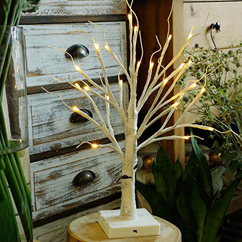 Twinkle Star 24 LED Tabletop Lighted Birch Tree Battery Operated, Thanksgiving Table Decoration Lights for Indoor Christmas Wedding Party Home Bedroom Fall Decoration - Twinkle Star